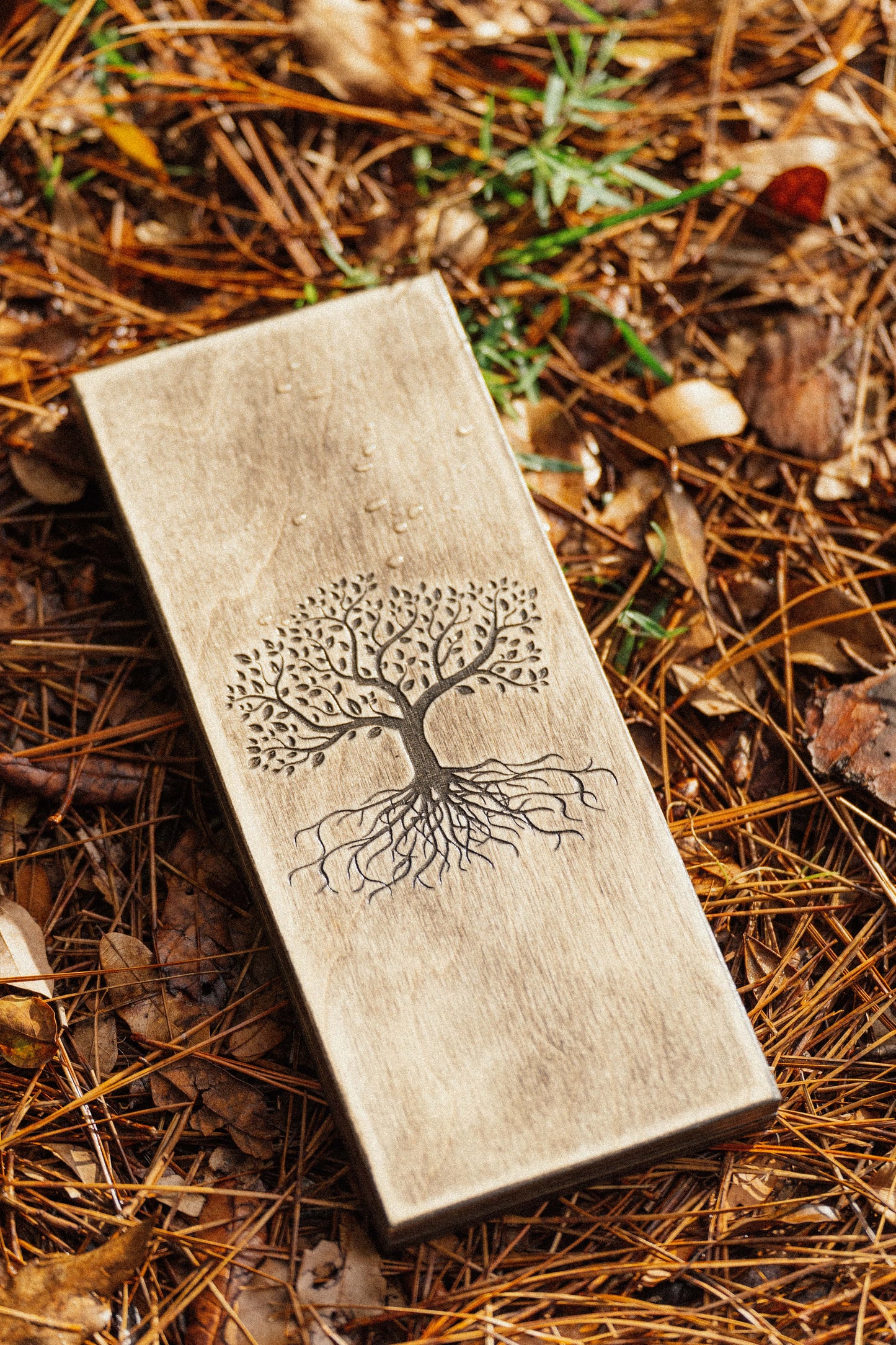 Sadhu Nail Board. Beginner level - 8 mm. Static. Silver & Gold.